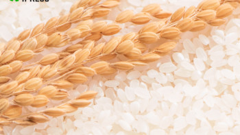 Фотография к новости: Елдегі күріш қоры ішкі нарықты қамтамасыз ете алады