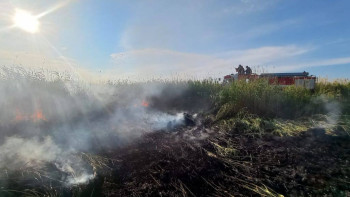 Фотография к новости: Асубұлақ орман шаруашылығы аумағындағы өрт сөндірілді