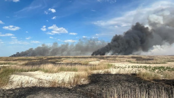 Фотография к новости: Атырауда 830 гектар жерді шарпыған қамыс өрті әлі өшірілген жоқ