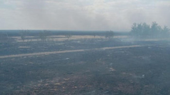 Фотография к новости: БҚО-да дала өртеніп жатыр