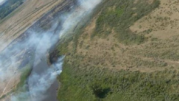 Фотография к новости: Абай облысының Бесқарағай ауданында құрғақ шөп жанып жатыр