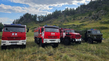 Фотография к новости: Іле-Балқаш резерватындағы табиғи өрт сөндірілді