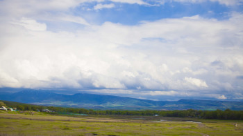 Фотография к новости: Баянауылда қарақұрттар пайда болды