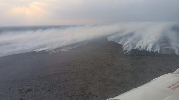 Фотография к новости: Атырау облысында 2 га аумақта қамыс өсімдіктері жанып жатыр