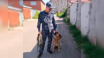 Фотография к новости: СҚО-да қызметтік иттер жыл басынан бері 165 қылмысты ашуға көмектесті