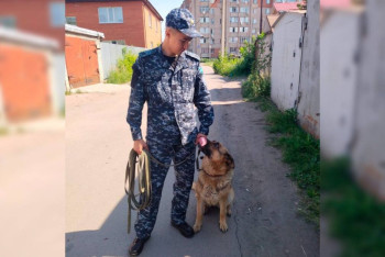 Фотография к новости: СҚО-да қызметтік иттер жыл басынан бері 165 қылмысты ашуға көмектесті
