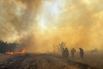 Фотография к новости: БҚО-да құрғақ шөп өртеніп жатыр