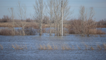 Фотография к новости: Елордада 4 адам суға кеткен