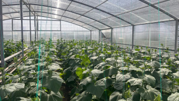 Фотография к новости: Ақтөбеліктер «Ауыл аманатына» белсенді қатысып жатыр ма?