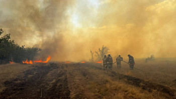Фотография к новости: Ақмолада құрғақ шөптің жануы мың гектартан асып кетті