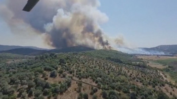 Фотография к новости: Түркияда орман өртеніп жатыр