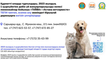 Фотография к новости: Астанада иттер мен мысықтарды чиптеу тегін жүргізіледі