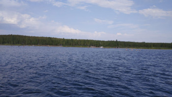 Фотография к новости: Ақмолада баланы құтқармақ болған мұғалім суға батып кетті