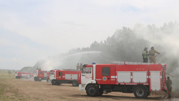 Фотография к новости: Шортандыда найзағай кесірінен болған өрт сөндірілді