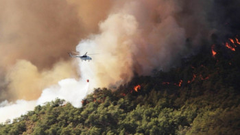 Фотография к новости: Түркияның 3 аймағында орман өртенді