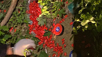 Фотография к новости: Қостанай облысында 100 млн теңгенің есірткісі тәркіленді