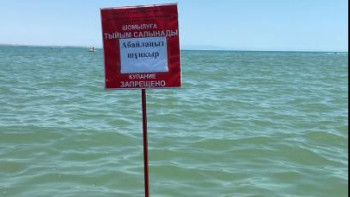 Фотография к новости: Қапшағай су қоймасында ер адам құтқарылды