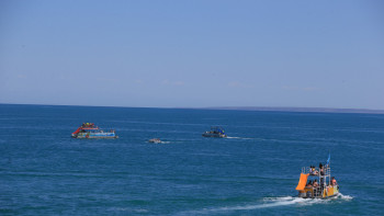 Фотография к новости: Жетісу әкімінің ғимараты сауықтыру лагеріне айналды