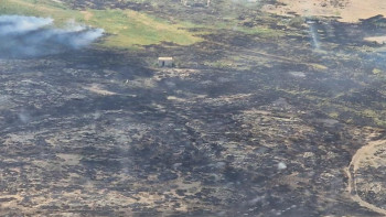 Фотография к новости: Абай облысында 3 мың гектарға жайылған өрт оқшауланды