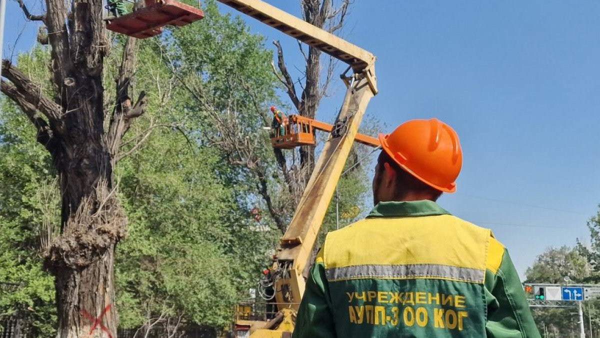  Алматы қаласының әкімдігі