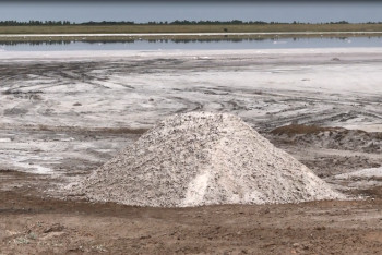 Павлодардағы қызғылт көл неге кеуіп жатыр?