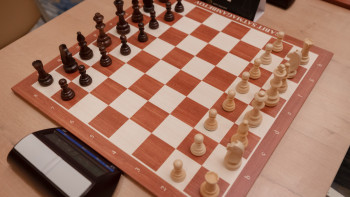 Фотография к новости: Шахматтан әлем чемпиондарына өмір бойы қаржылай көмек берілмек