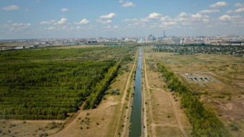 Фотография к новости: Астанада жасыл белдеудегі ағаштар саны артады