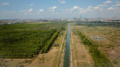 Астанада жасыл белдеудегі ағаштар саны артады