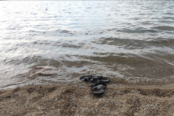 Фотография к новости: Алакөлде 6 жасар бала суға батып кете жаздады