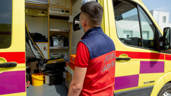 Фотография к новости: Көкшетауда 5 жасар баланы көлік қағып кетті