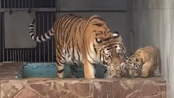 Фотография к новости: Қарағанды ​​зообағы ерекше байқау жариялады