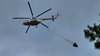 Фотография к новости: Катонқарағайда орман өрті оқшауланды