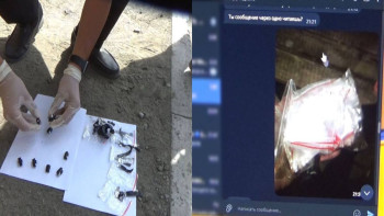 Фотография к новости: Абай облысында есірткі қойып кетуші топ қолға түсті