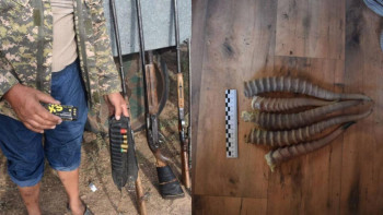 Фотография к новости: Қарағанды облысының тұрғынынан киік мүйіздері мен тіркелмеген 5 қару тәркіленді