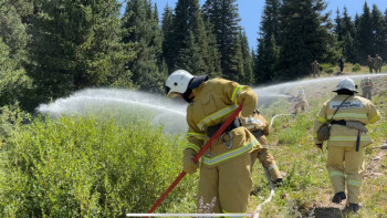 Фотография к новости: Бесқарағайда 400 гектарға жуық аумақты шарпыған өрт сөндірілді