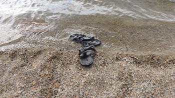 Фотография к новости: Астанада суға батып бара жатқан спортшы құтқарылды