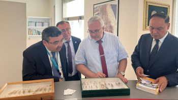 Фотография к новости: Қазақстан мен ФАО шегірткелермен бірлесіп күреседі