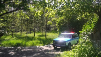 Фотография к новости: ШҚО-да орманға баруға тыйым салынды