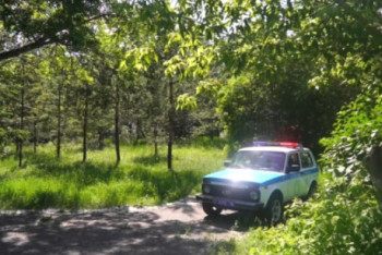 Фотография к новости: ШҚО-да орманға баруға тыйым салынды