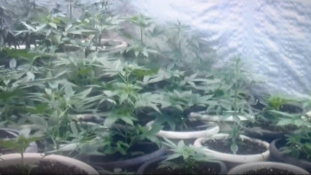 Фотография к новости: Оралдық тұрғын үйінде есірткі зертханасын ұйымдастырған