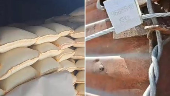 Фотография к новости: Жамбыл облысында қылмыстық топ 80 млн теңгеге тыңайтқыш ұрлаған