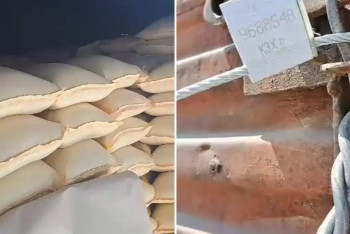 Фотография к новости: Жамбыл облысында қылмыстық топ 80 млн теңгеге тыңайтқыш ұрлаған