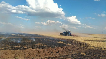 Фотография к новости: Ұлытауда құрғақ шөп өртеніп жатыр