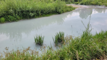 Фотография к новости: ШҚО-да "сүтке айналған" өзеннен сынама алынды