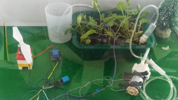 Фотография к новости: Абай облысының оқушылары ақылды жылыжай жасап шығарды