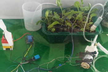 Фотография к новости: Абай облысының оқушылары ақылды жылыжай жасап шығарды