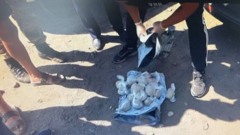 Фотография к новости: ШҚО тұрғынынан 20 келіден астам есірткі тәркіленді