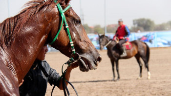 Фотография к новости: Астанада бәйгеден ел біріншілігінің іріктеу кезеңі өтеді
