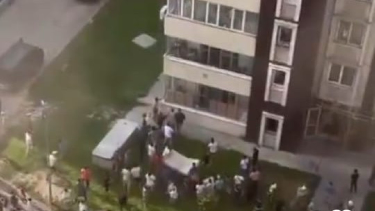  видеодан скриншот