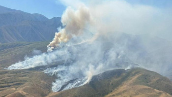 Фотография к новости: Жамбыл облысының таулы аумағында ірі өрт шықты